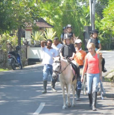 Royal Sporthorse Bali price list 2025 beach tour 3 Royal Sporthorse Bali price list 2025 beach tour
