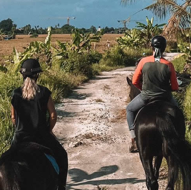 Royal Sporthorse Bali price list 2025 beach tour 4 Royal Sporthorse Bali price list 2025 beach tour