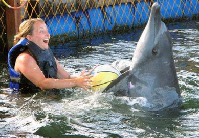 Serangan dolphin swim price 2025 2026 floating pen Bali