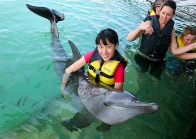 Serangan dolphin swim price 2025 2026 floating pen Bali