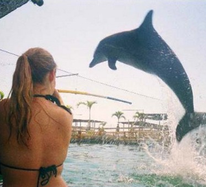 Serangan dolphin swim price 2025/2026