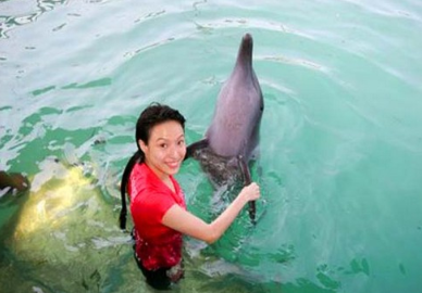 Serangan dolphin swim price 2025 2026 floating pen Bali