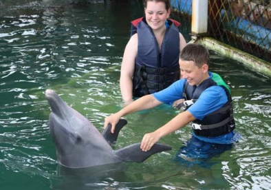 Serangan dolphin swim price 2025 2026 floating pen Bali