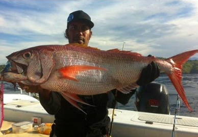 Sunset fishing BBQ Bali price 2025 2026 romantic seafood dinner