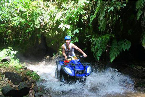 Taro Village ATV adventure booking rice field view 5 Taro Village ATV adventure booking rice field view
