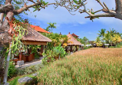 Tepi Sawah Ubud menu price 2025 crispy duck set