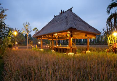 Tepi Sawah Ubud menu price 2025 crispy duck set