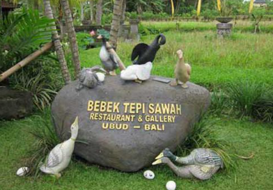 Tepi Sawah Ubud menu price 2025 crispy duck set