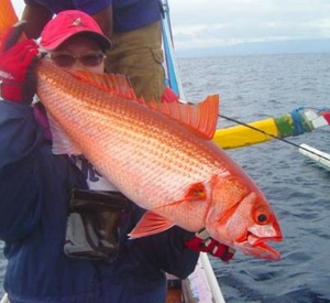 Traditional boat fishing Bali price 2025/2026