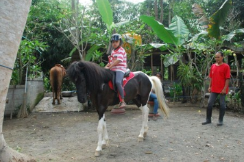 Ubud Horse Riding price 2025 rice field tour 1 Ubud Horse Riding price 2025 rice field tour