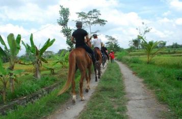Ubud Horse Riding price 2025 rice field tour 3 Ubud Horse Riding price 2025 rice field tour