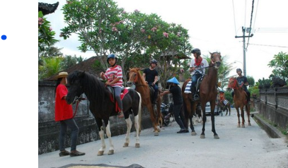 Ubud Horse Riding price 2025 rice field tour 8 Ubud Horse Riding price 2025 rice field tour