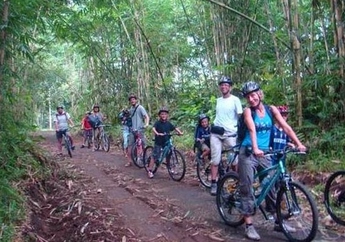 Ubud rice terrace cycling tour cost Tegallalang view 1 Ubud rice terrace cycling tour cost Tegallalang view