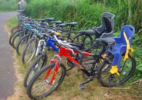 Ubud rice terrace cycling tour cost Tegallalang view 2 Ubud rice terrace cycling tour cost Tegallalang view