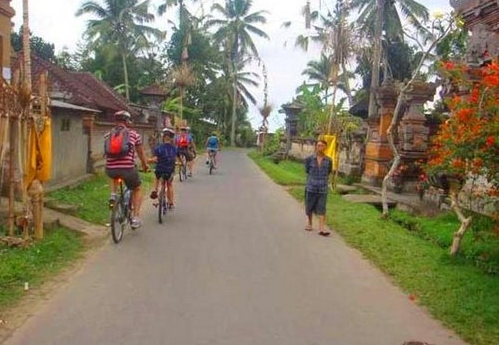 Ubud rice terrace cycling tour cost Tegallalang view 3 Ubud rice terrace cycling tour cost Tegallalang view