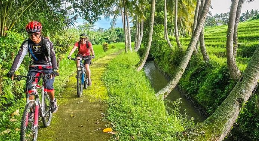 Village Cycling with Rafting 3 Ubud cycling and rafting combo price rice fields