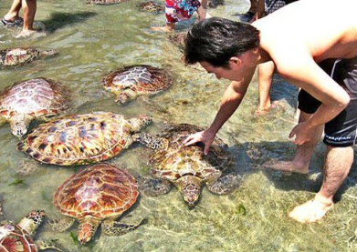 Virgo Bali Water Sport price list 2025 scuba diving and jet ski 8 Virgo Bali Water Sport price list 2025 scuba diving and jet ski