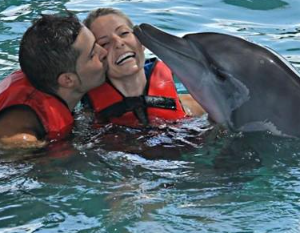 Wake Bali Dolphin price 2025/2026