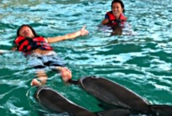 Wake Bali Dolphin price 2025 2026 swimming experience Keramas 3 Wake Bali Dolphin price 2025 2026 swimming experience Keramas