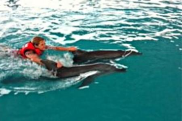 Wake Bali Dolphin price 2025 2026 swimming experience Keramas 4 Wake Bali Dolphin price 2025 2026 swimming experience Keramas