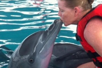 Wake Bali Dolphin price 2025 2026 swimming experience Keramas 5 Wake Bali Dolphin price 2025 2026 swimming experience Keramas