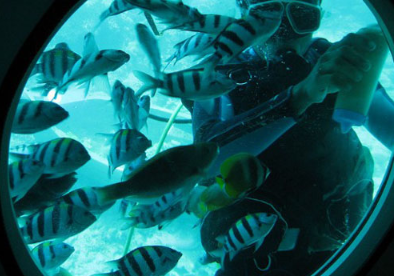 book-odyssey-submarine-bali-tickets-online