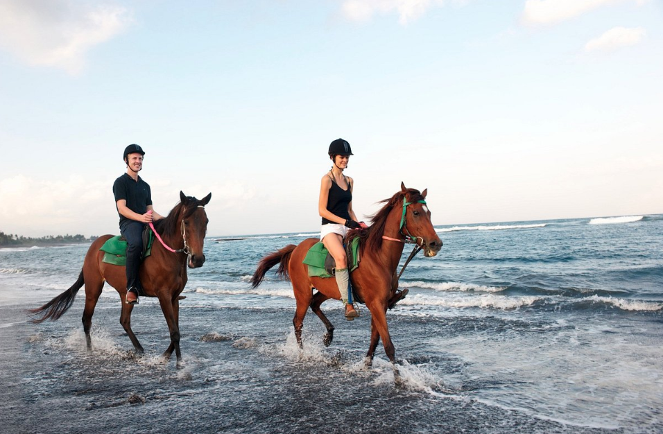 saba-beach-horse-riding-price 1 saba-beach-horse-riding-price