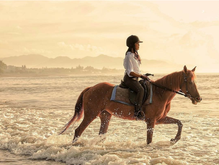 saba-beach-horse-riding-price 3 saba-beach-horse-riding-price