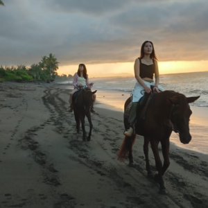 Saba Beach horse riding price