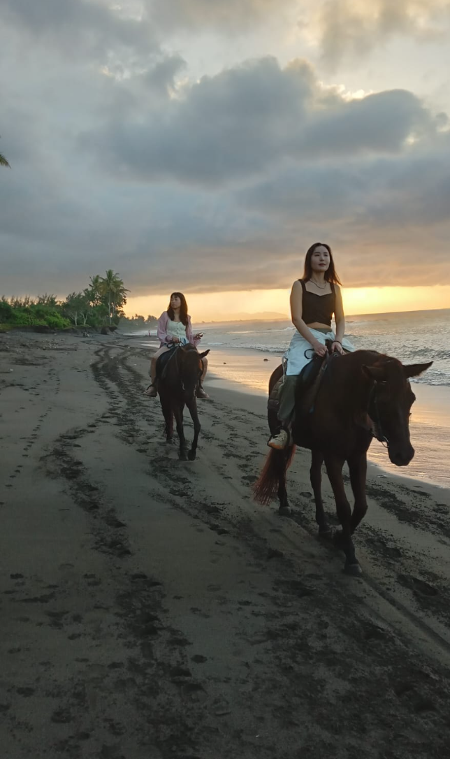 saba-beach-horse-riding-price 7 Saba Beach horse riding price