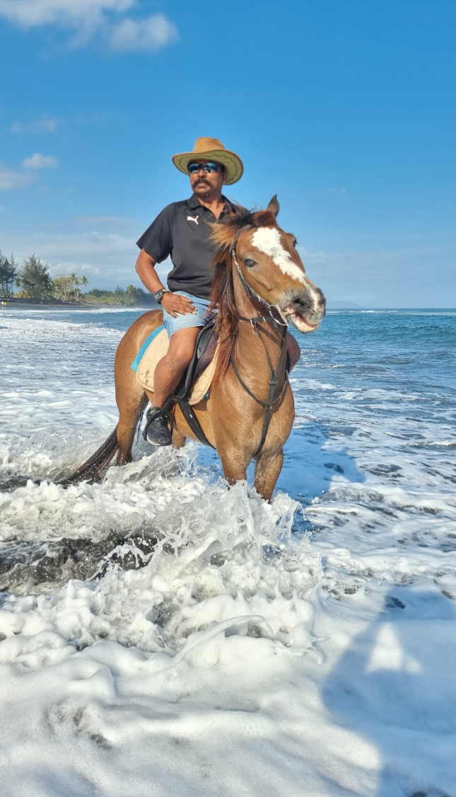 saba-beach-horse-riding-price 8 saba-beach-horse-riding-price