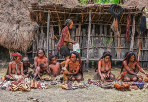 Ultimate Adventure: Book 16 Day Baliem Gorge Trekking Expedition 1 A Majestic look at the Jayapura and Baliem Valley Full Package 2026 experience.