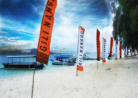 Baby turtle release when you Book Gili Nanggu Cottages Private Island 1