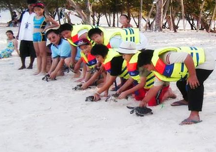Baby turtle release when you Book Gili Nanggu Cottages Private Island 5