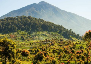 Book 14 Day Fantastic Kerinci Seblat Tour