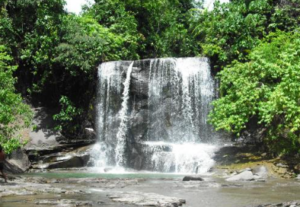 Wilds of the Equator: Book 16-Day Great Sumatra Adventure Tour 2026 2 Book 16-Day Great Sumatra Adventure Tour – Elephant Safari at Tangkahan