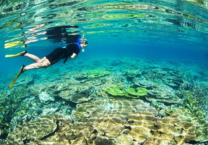 Book 4-Day Raja Ampat Snorkeling Tour - Salawati Island Adventure
