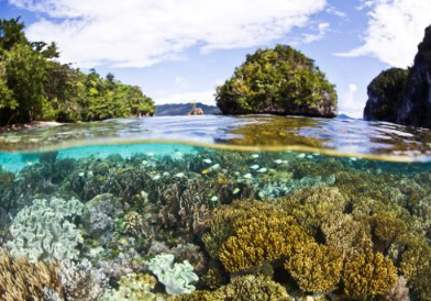 Book 4-Day Raja Ampat Snorkeling Tour - Salawati Island Adventure