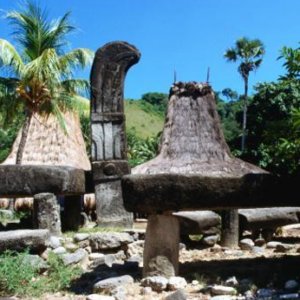 Book 4 Day Sumba Weaving Tour