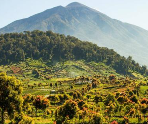 Book 5-Day Kerinci Seblat National Park Tour