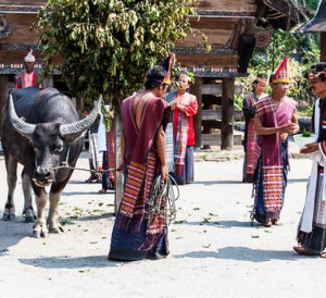 Book 5 Days Orangutan Batak Country Tour 2026 - Scenic North Sumatra View