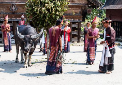 Book 5 Days Orangutan Batak Country Tour 2026 - Scenic North Sumatra View