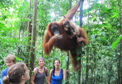 Book 6-Day Exciting Medan Tour Package - Visiting Batak Villages