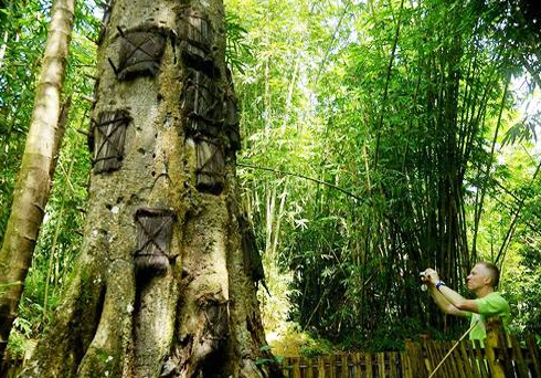 Book 6D5N Bugis and Tana Toraja Tour