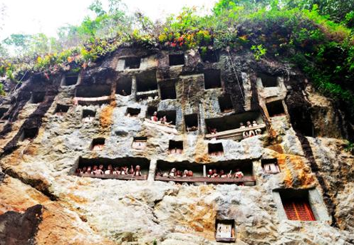 Book 6D5N Bugis and Tana Toraja Tour