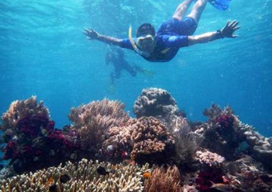 Book 7-Day Raja Ampat Snorkeling Tour Package
