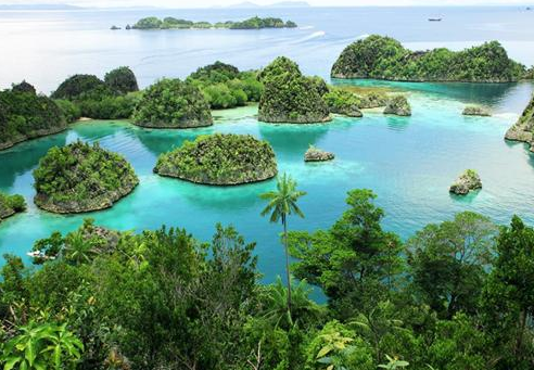 Book 8-Day Sorong and Raja Ampat Adventure Tour