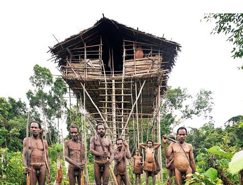 Book 8-Day Sorong and Raja Ampat Adventure Tour - Snorkeling and Birding