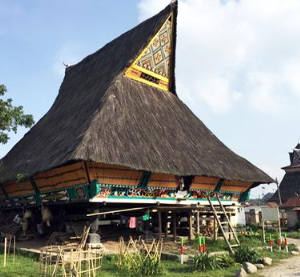 Book 8 Days Sumatra Overland Tour 2026 - Jungle Trekking in Bukit Lawang