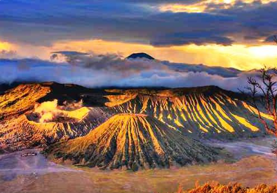 Book Bromo Batu Tretes Taman Safari Tour 2026